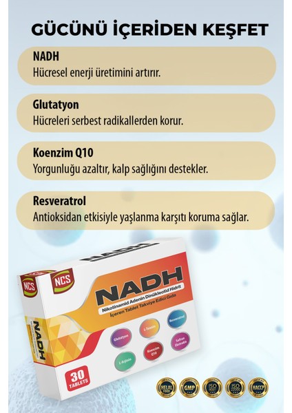 Nadh Safran Koenzim Q10 Glutatyon Teanin L-Arjinin Resveratrol 30 Tablet L-Sitrulin D-Riboz fiyatları