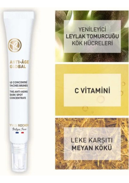 Bitkisel Kök Hücre Destekli – Anti-Age Global Lokal Bakım Kremi