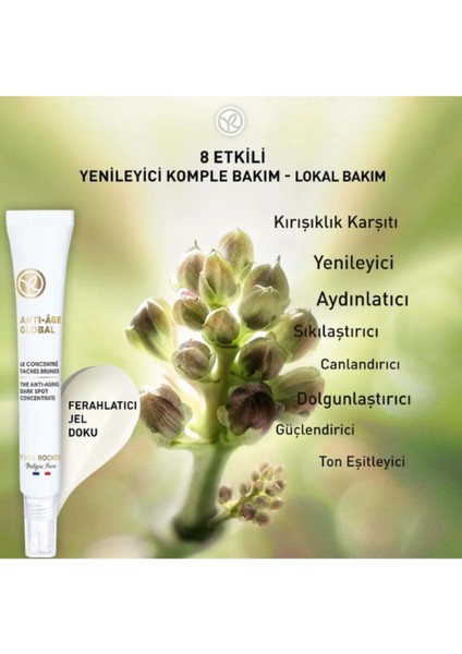 Bitkisel Kök Hücre Destekli – Anti-Age Global Lokal Bakım Kremi fiyatları