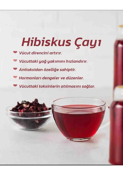 Hibikus fiyatları