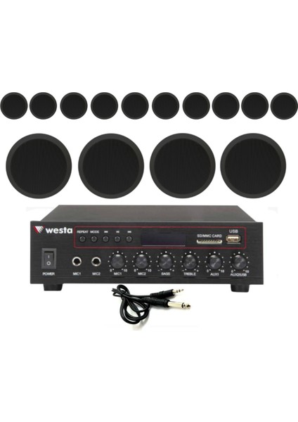14’lü Siyah Tavan Hoparlorlu 100V Ses Sistemi | Kafe, Mağaza ve Ofis Müzik Sistemi