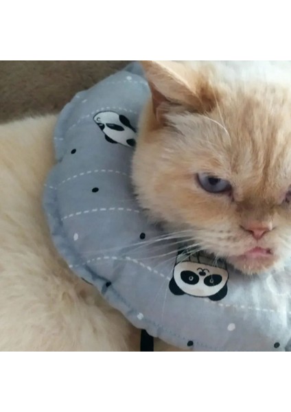 Kedi ve Köpek Yakalığı Elizabeth Yakalık, Ameliyat Sonrası Koruyucu Yakalık modelleri