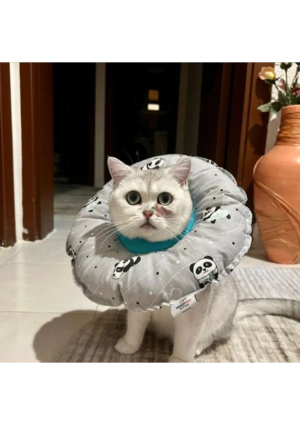 Kedi ve Köpek Yakalığı Elizabeth Yakalık, Ameliyat Sonrası Koruyucu Yakalık fırsatları