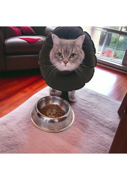 Kedi ve Köpek Yakalığı Elizabeth Yakalık, Ameliyat Sonrası Koruyucu Yakalık- Su Geçirmez Kumaş