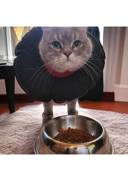 Kedi ve Köpek Yakalığı Elizabeth Yakalık, Ameliyat Sonrası Koruyucu Yakalık- Su Geçirmez Kumaş fırsatları