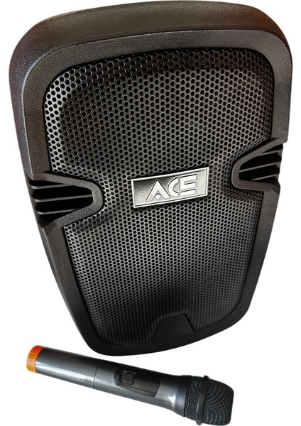 Audıo Paq-8bl 100 Watt Şarjlı Amfi