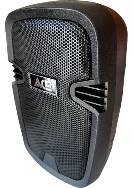 Audıo Paq-8bl 100 Watt Şarjlı Amfi modelleri