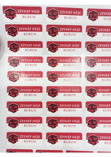 Gül Temalı Okul Etiketi Isme Özel 170 Adet (90 Adet 34X13 Mm, 80 Adet 45X17 Mm) fırsatları