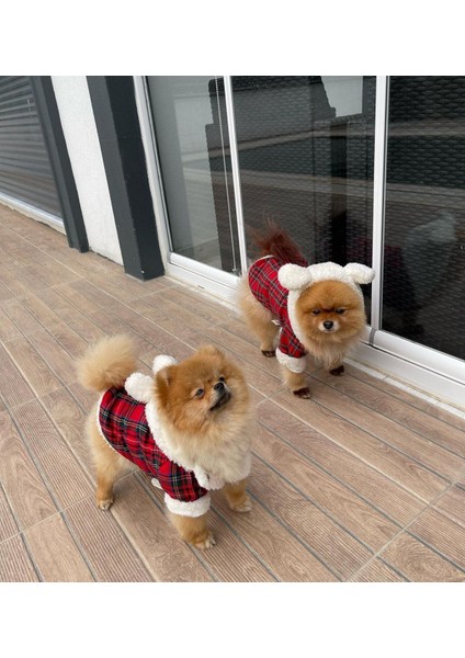 Köpek Montu modelleri