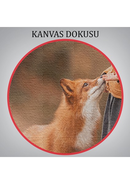 Küçük Kız ve Tilki Dekoratif Kanvas TABLO-1147