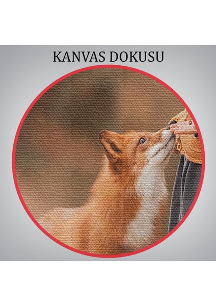 Küçük Kız ve Tilki Dekoratif Kanvas Tablo 1147