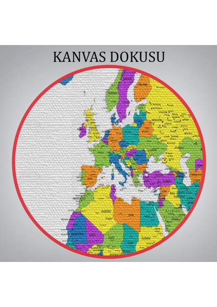 Dünya Haritası Detaylı Dekoratif Kanvas Tablo 1054