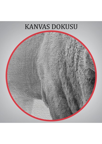 Bizon Dekoratif Kanvas Tablo 1160