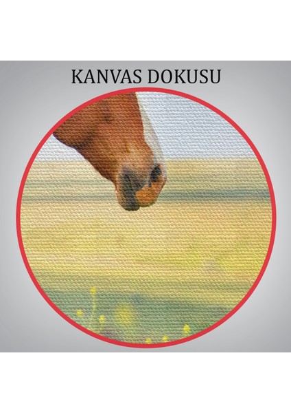 At ve Manzaralı Dekoratif Kanvas Tablo 1131