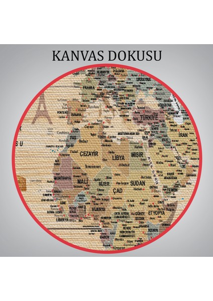 Ahşap Görünümlü Türkçe Dünya Haritası Sembollü Eğitici Dekoratif Kanvas Tablo 2951