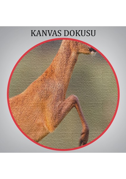 Koşan Geyik Dekoratif Kanvas Tablo 1170
