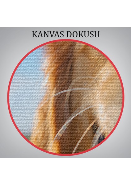 Köpek Dekoratif Kanvas Tablo 1130
