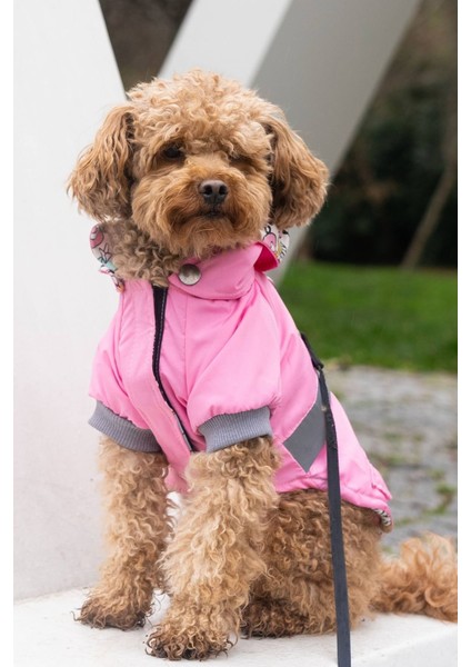 Köpek Yağmurlukları, Su Geçirmez Köpek Yağmurluğu, Köpek Kıyafeti