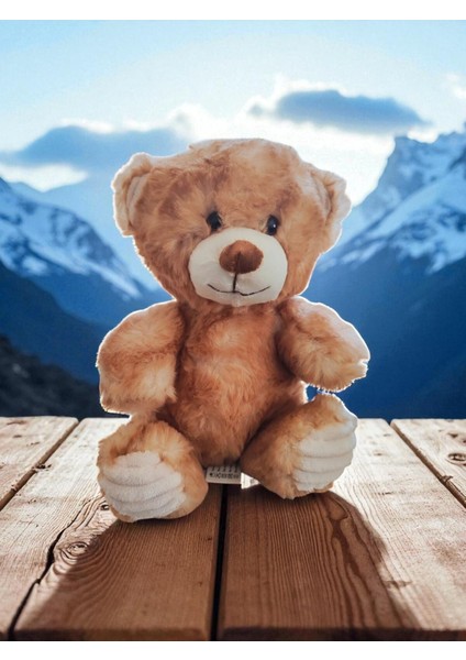 Peluş Ayı Oyun ve Uyku Arkadaşı 23 cm