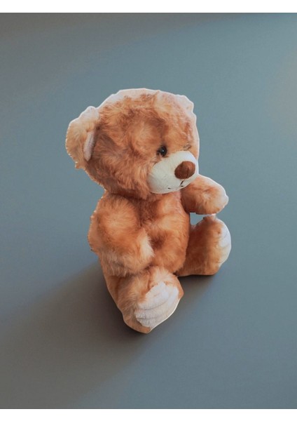 Peluş Ayı Oyun ve Uyku Arkadaşı 23 cm fiyatları