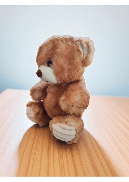 Peluş Ayı Oyun ve Uyku Arkadaşı 23 cm modelleri