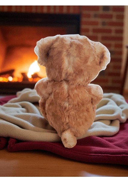 Peluş Ayı Oyun ve Uyku Arkadaşı 23 cm fırsatları
