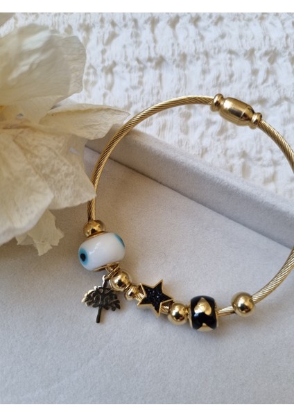 Charmlı Çelik Kelepçe modelleri