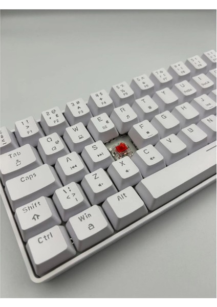 Oyuncu Klavyesi T60 Kırmızı Switch Rgb Klavye Kablolu Gaming Oyuncu Klavyesi modelleri