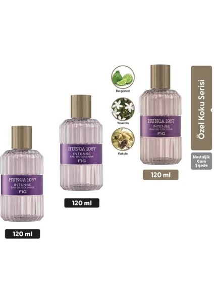 3 Adet Hunca 1957 Intense Fig 120 ml Sprey Eau De Cologne