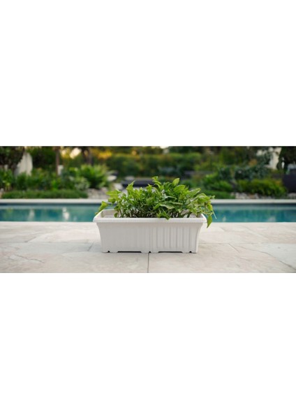 Ova Balkon Saksı No:2 – 41X16 cm Dikdörtgen Saksı Bahçe & Balkon Için