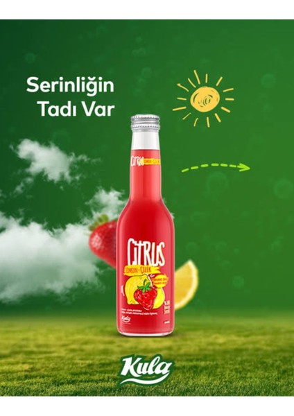 Citrus Limon & Çilek Maden Suyu – 24’lü Paket, Serinletici ve Doğal Lezzet