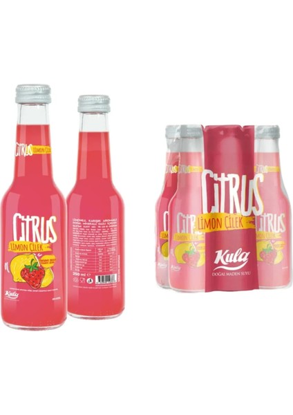 Citrus Limon & Çilek Maden Suyu – 24’lü Paket, Serinletici ve Doğal Lezzet fiyatları