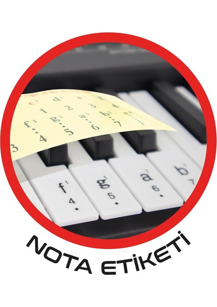 🎹 61 Tuşlu Elektronik Org – Işıklı Tuşlar, Mikrofon Girişi, Piyano Etiketli – Çocuklar ve Başlangıç Seviyesi Için Mükemmel