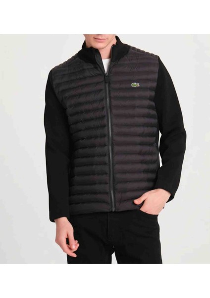 Siyah Regular Fit Triko Mont