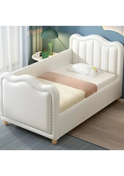 Polly Baza ve Başlık Takımı