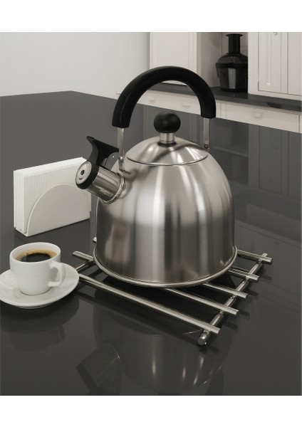 Isıya Dayanıklı Şık Krom Nihale – Tencereler Için Güvenli Stand