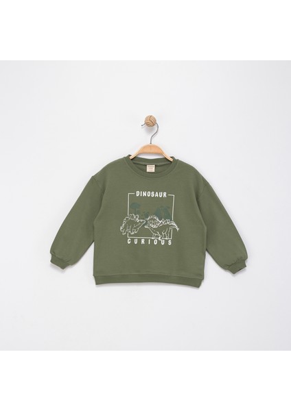 Dinazor Baskılı Erkek Çocuk Sweatshirt fiyatları