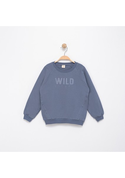 Erkek Çocuk Baskılı Sweatshirt fiyatları