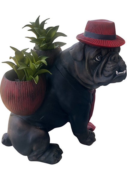 Buldog Saksı, Bulldog Saksı, Bahçe Dekorasyon, Bahçe Saksı,