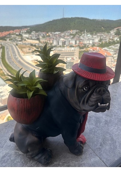 Buldog Saksı, Bulldog Saksı, Bahçe Dekorasyon, Bahçe Saksı, fırsatları