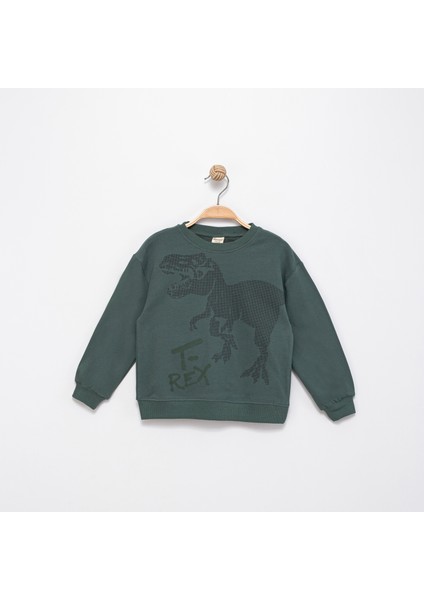 T-Rex Baskılı Erkek Çocuk Sweatshirt fiyatları