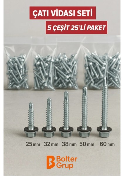 Çatı Vidası Trapez Vida Seti – 25’li Paket 5,5 Serisi (25MM-60MM Arası 5 Ölçü)
