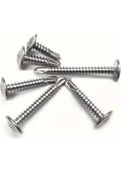 3,9X19 Rysb Pul Başlı Matkap Uçlu Vida 100'LÜ modelleri