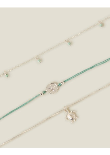 Kaplumbağa Hal Hal Set x 3 fiyatları