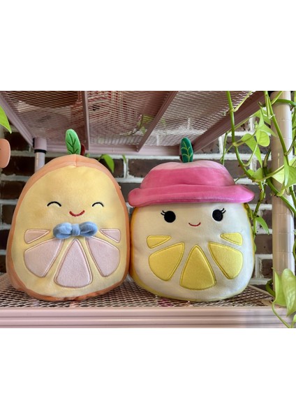 1 Adet Sürpriz Kokulu Squishmallows Mystery Squad Meyve Temalı Sürpriz Paket - 1 Adet - 20 cm modelleri