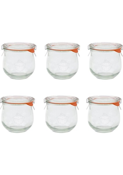 Renkli 370 ml Lale Cam Saklama Kavanozu 6'lı Set