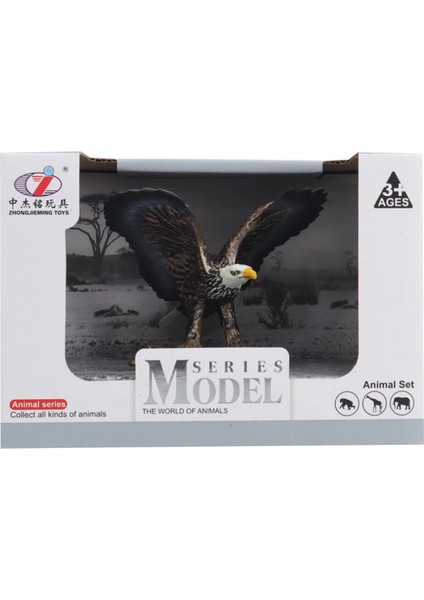 Kutulu Model Figür Hayvan Kartal