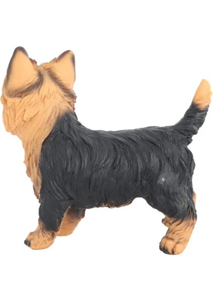 Model Köpek Sarı Siyah Yorkshire Terrier modelleri