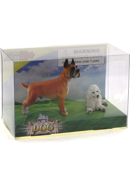 Boxer ve Kaniş Model Hayvan Köpek