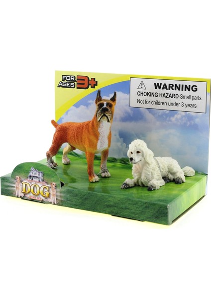 Boxer ve Kaniş Model Hayvan Köpek fiyatları